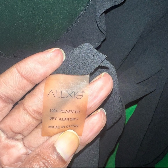 Alexis Sheer Black Ruffled Cottagecore Blouse size Small - Picture 4 of 5